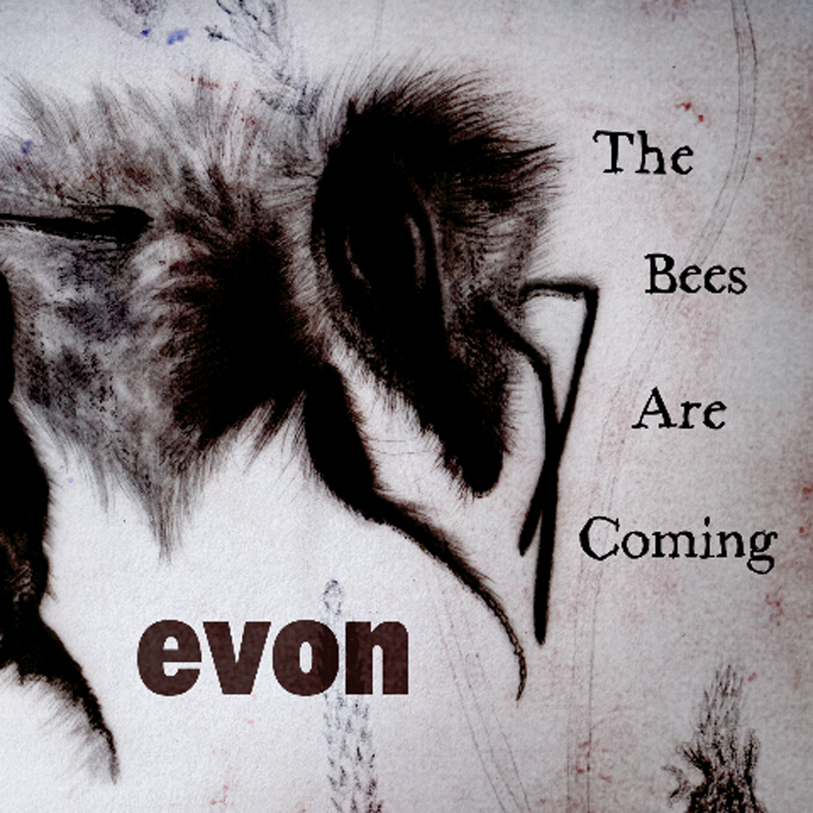 Evon - The Bees Are Coming